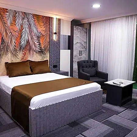 Hotel Night And 3*
